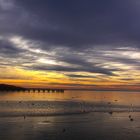 Sonnenuntergang am Neusiedlersee