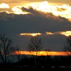 Sonnenuntergang am Neusiedlersee 4