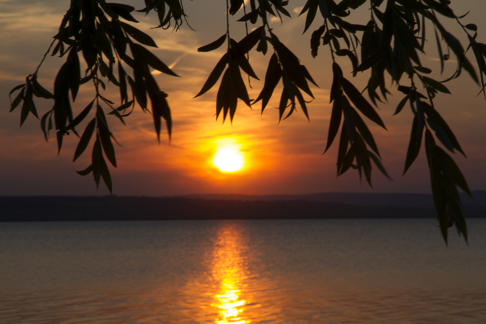 Sonnenuntergang am Neusiedlersee