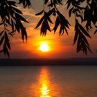 Sonnenuntergang am Neusiedlersee