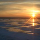 Sonnenuntergang am Neusiedlersee