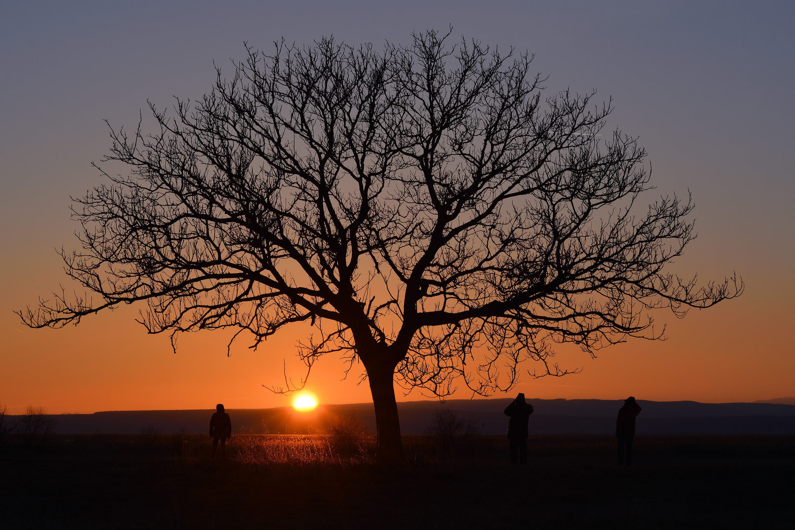 Sonnenuntergang am Neusiedlersee