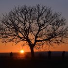 Sonnenuntergang am Neusiedlersee