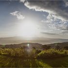 Sonnenuntergang am Ngorongoro