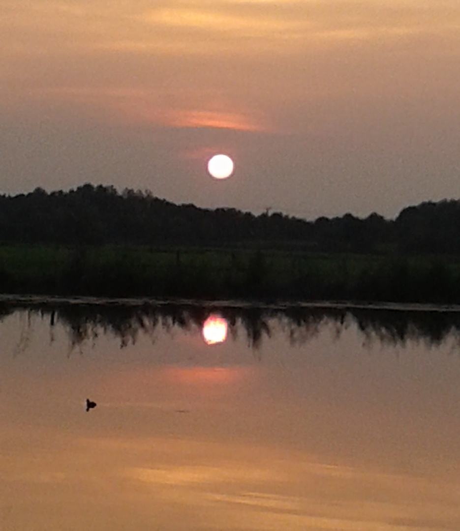 Sonnenuntergang am Niederrhein