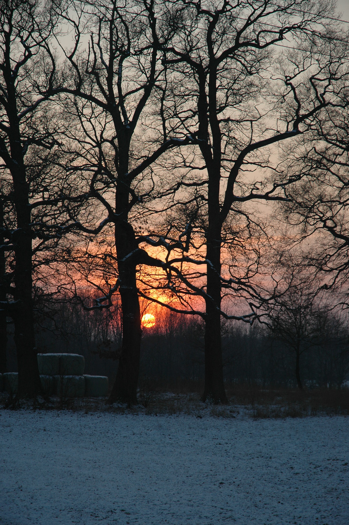 Sonnenuntergang am Niederrhein