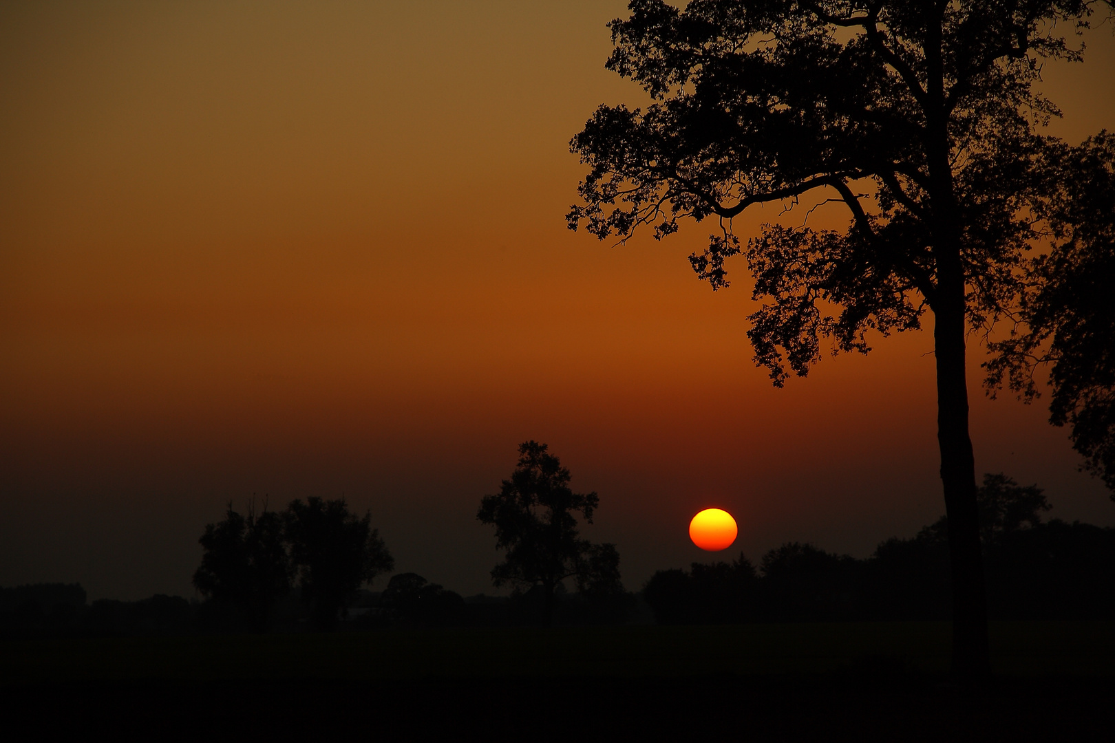 Sonnenuntergang am Niederrhein