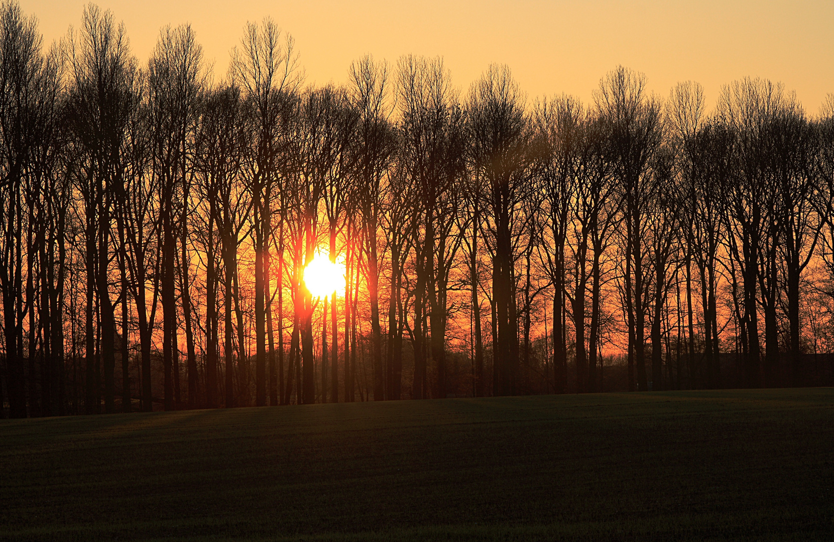 Sonnenuntergang am Niederrhein