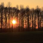 Sonnenuntergang am Niederrhein