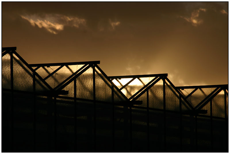 Sonnenuntergang am Niederrhein