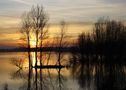 Sonnenuntergang am Niederrhein von der 2. account 