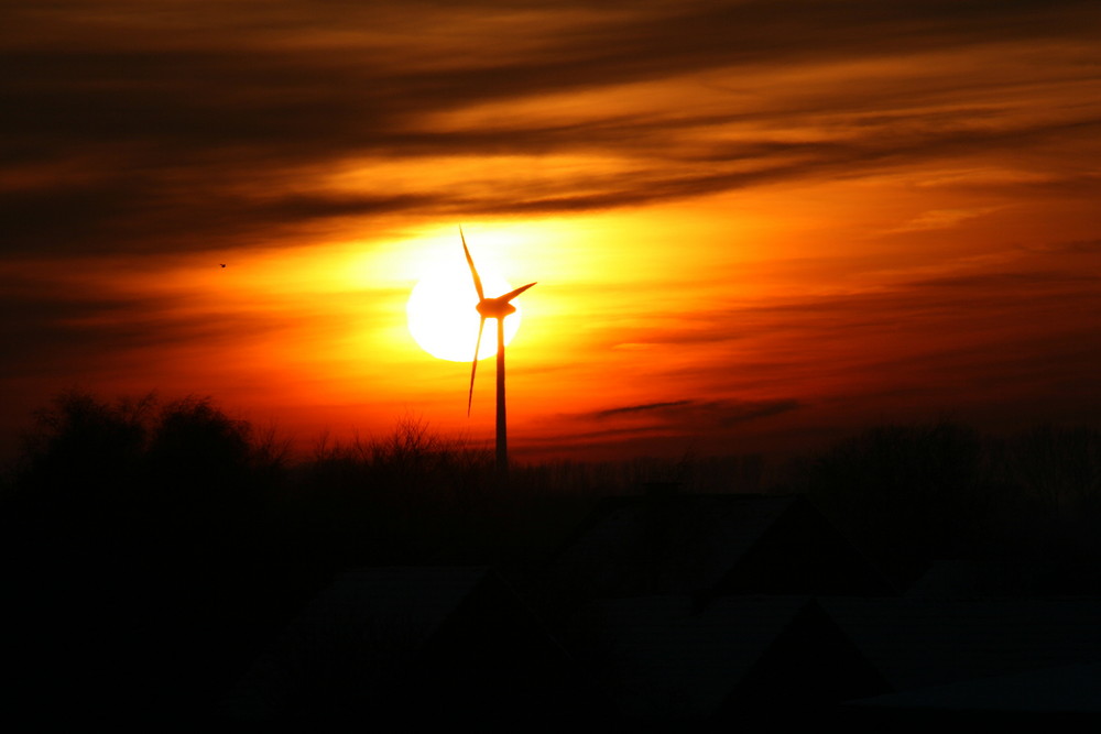 Sonnenuntergang am Niederrhein