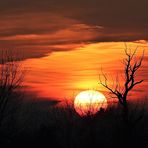 Sonnenuntergang am Niederrhein