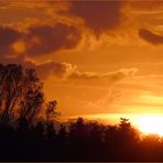 Sonnenuntergang am Niederrhein