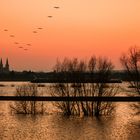 Sonnenuntergang am Niederrhein