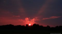 Sonnenuntergang am Niederrhein.