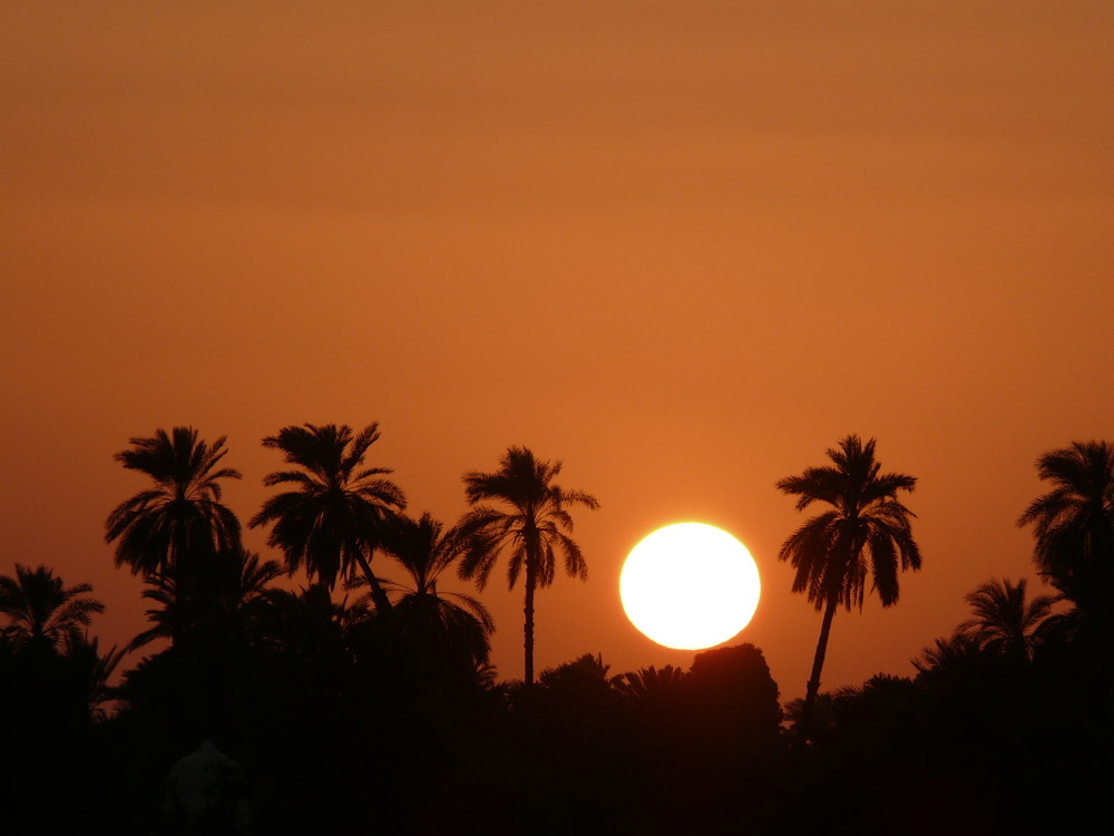 Sonnenuntergang am Nil