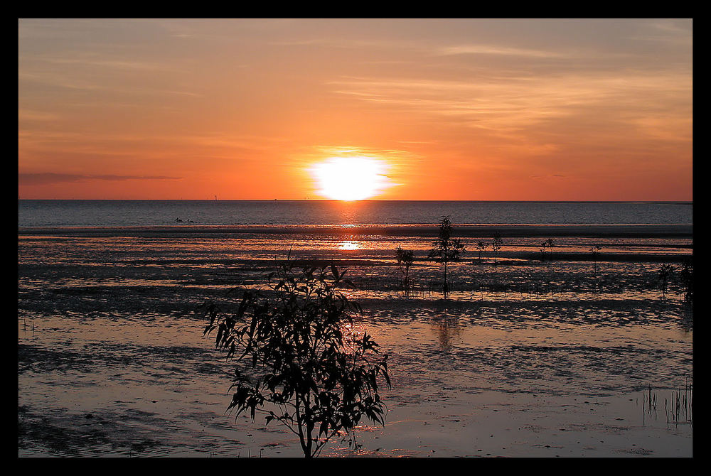 Sonnenuntergang am Norman River