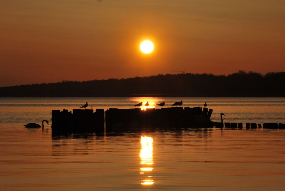 sonnenuntergang am oderhaff