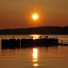 sonnenuntergang am oderhaff