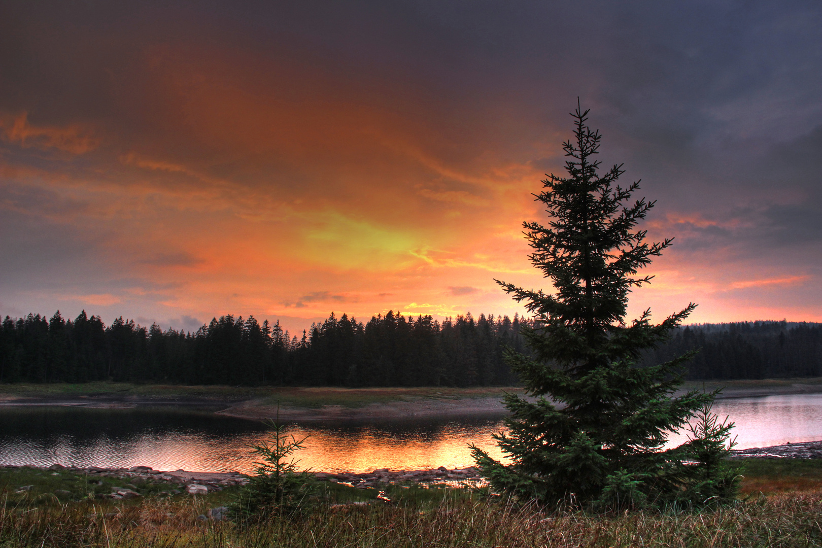 Sonnenuntergang am Oderteich