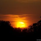 Sonnenuntergang am Okavango