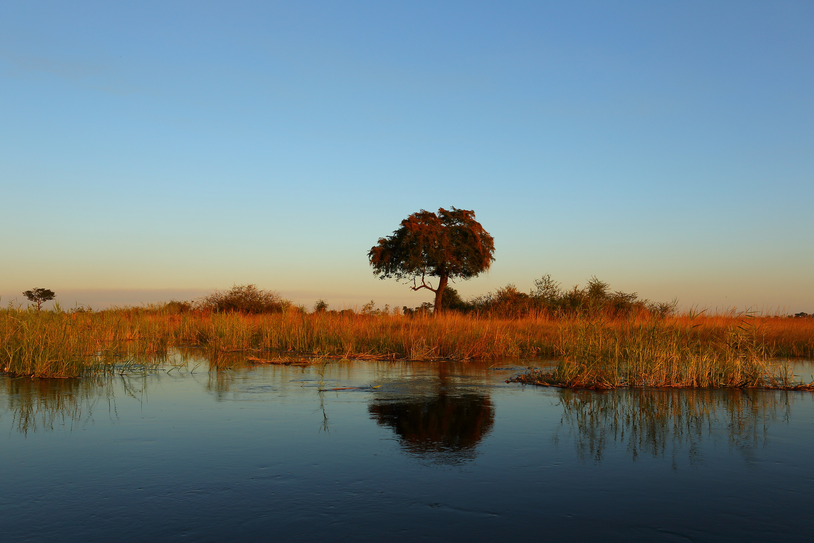 Sonnenuntergang am OKavango