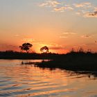 Sonnenuntergang am Okavango