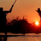 Sonnenuntergang am Okavango