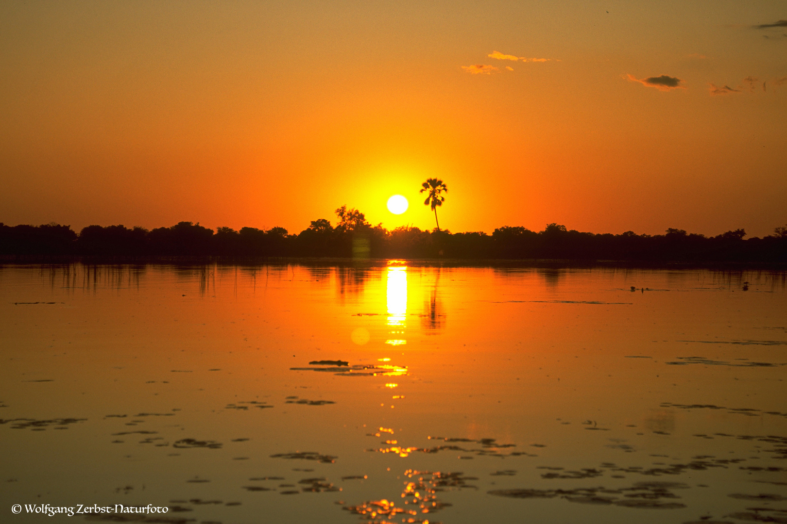 --- Sonnenuntergang am Okavango ----