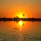 --- Sonnenuntergang am Okavango ----