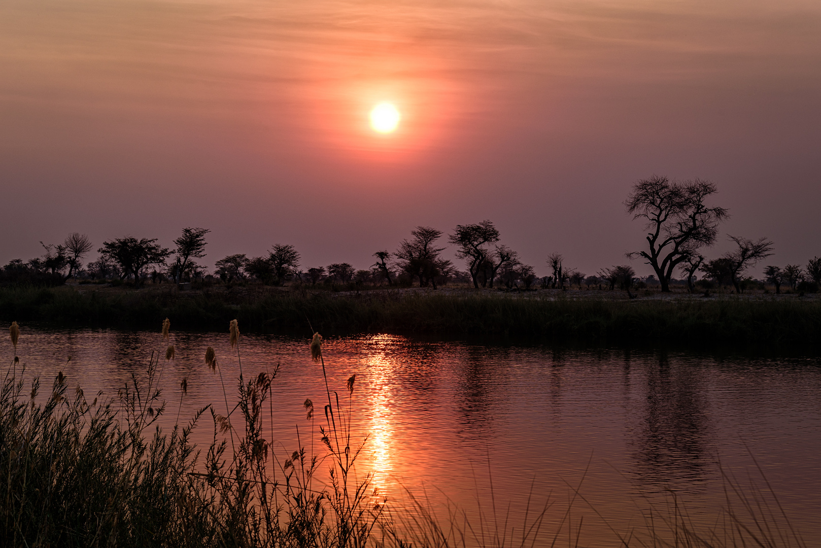 Sonnenuntergang am Okavango