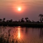 Sonnenuntergang am Okavango