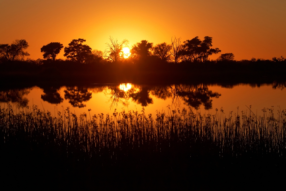 Sonnenuntergang am Okavango