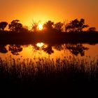 Sonnenuntergang am Okavango