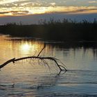 Sonnenuntergang am Okawango