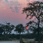 Sonnenuntergang am Okawango