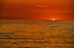 Sonnenuntergang am Ontariosee