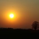 Sonnenuntergang am Oschenberg ( Bayreuth )