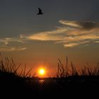 Sonnenuntergang am Ostseestrand bei Zierow