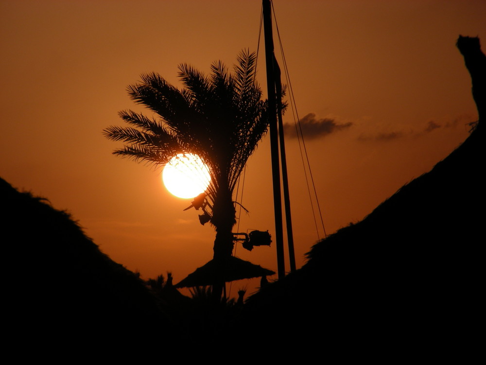 Sonnenuntergang am Palmenstrand