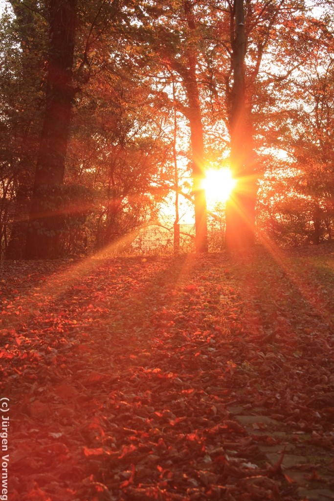 Sonnenuntergang am Petersberg/Bonn