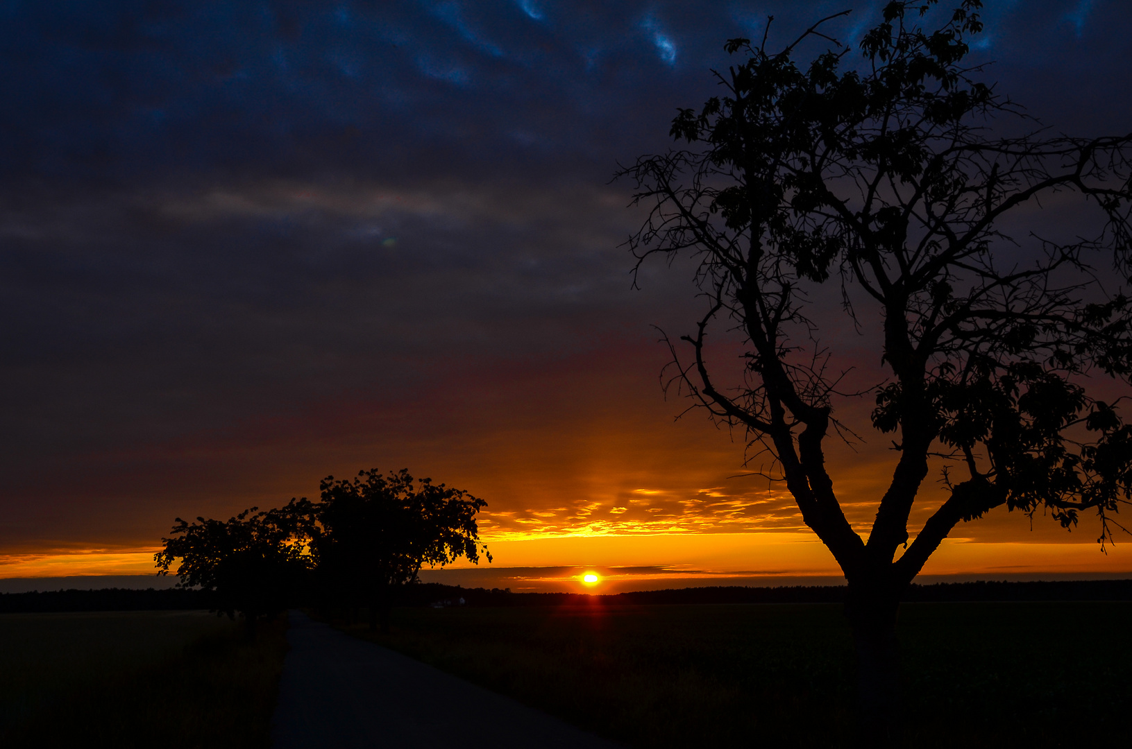 Sonnenuntergang am Pflückuffer Ratsforst