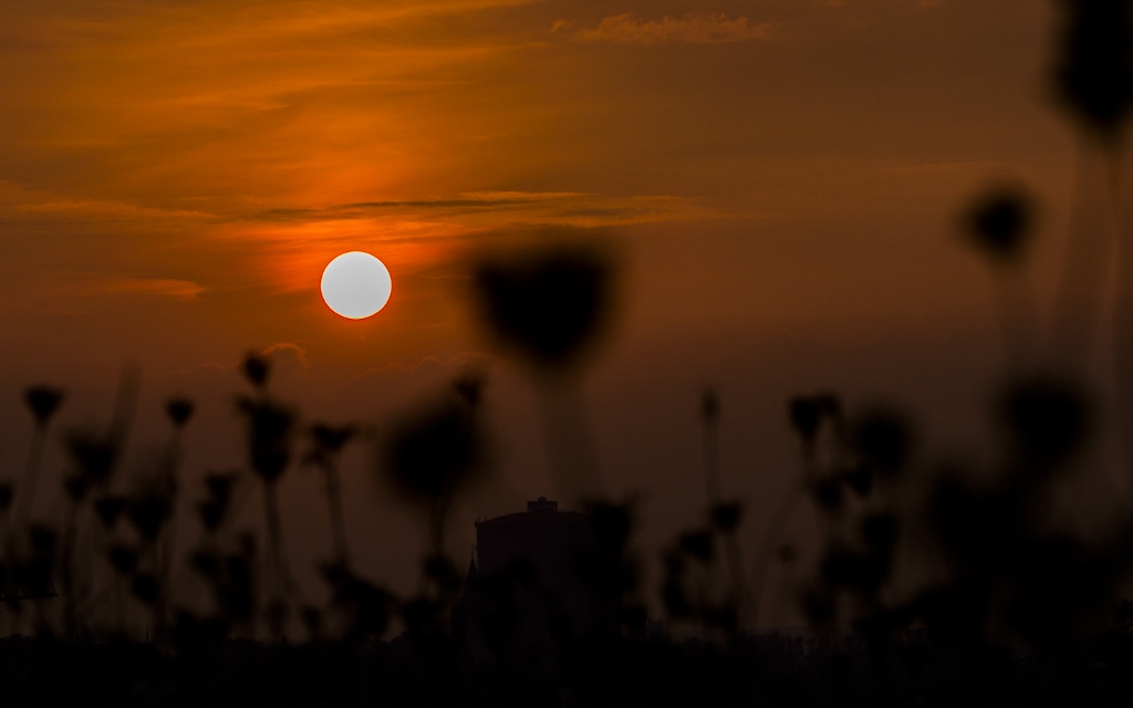 Sonnenuntergang am Phönixsee, Dortmund