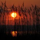 Sonnenuntergang am Plattensee