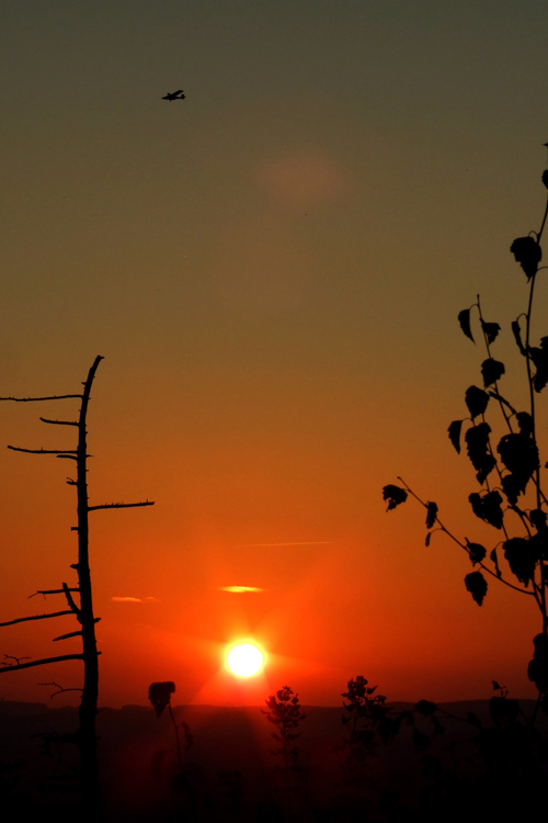 Sonnenuntergang am Pöhlberg