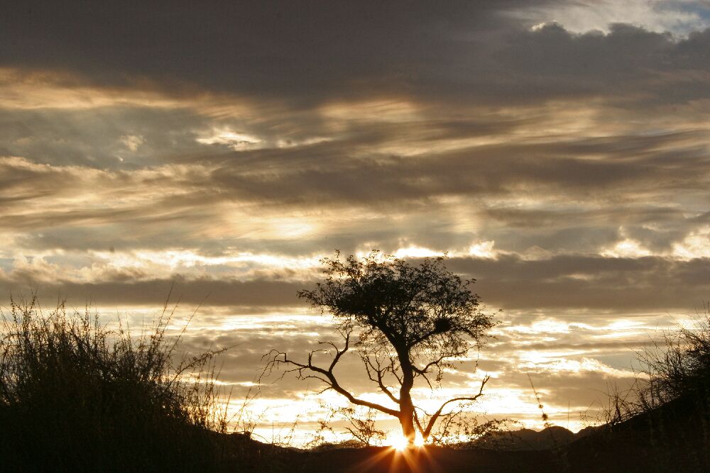 Sonnenuntergang am Rand der Namib-Wüste