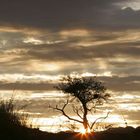 Sonnenuntergang am Rand der Namib-Wüste