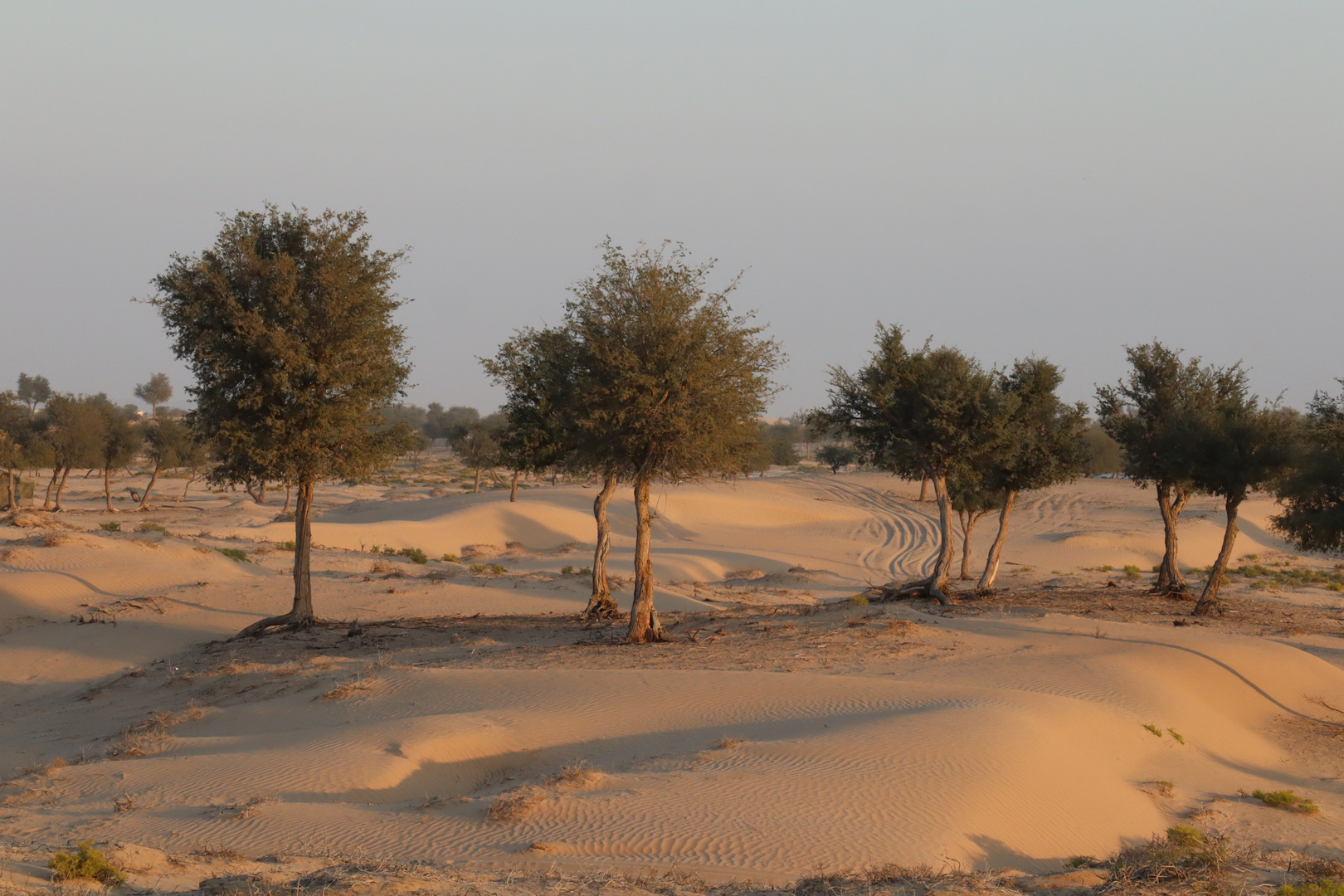 Sonnenuntergang am Rand der Wüste