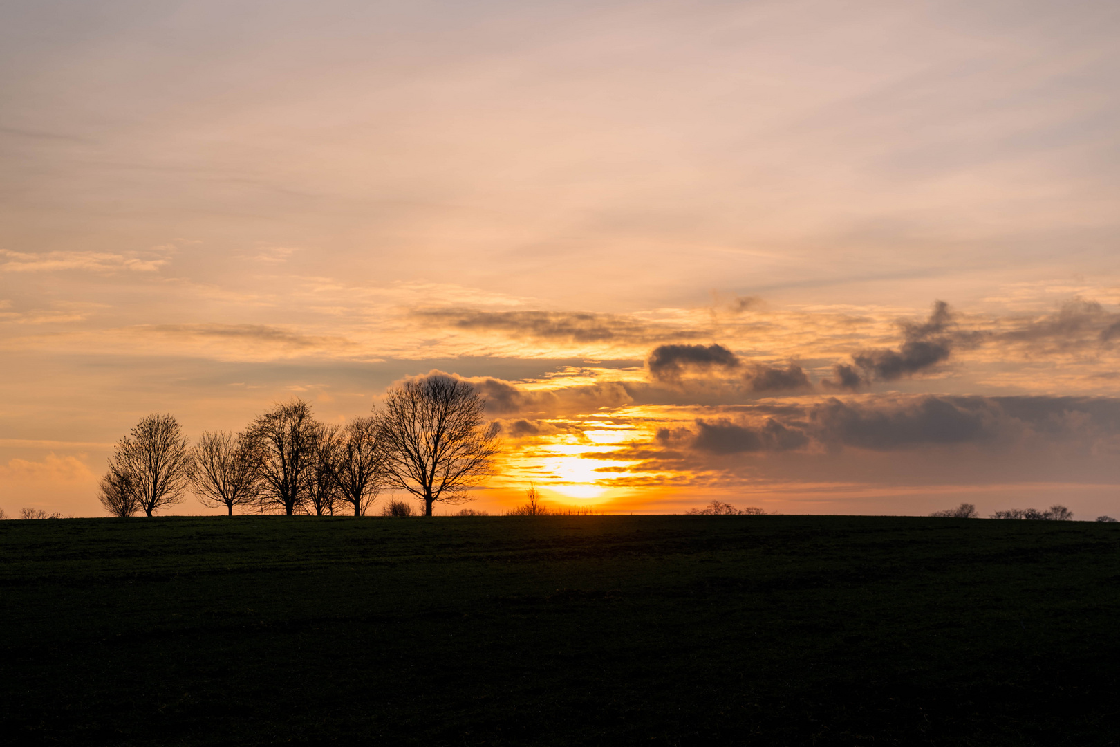 Sonnenuntergang am Rande von Berlin mitten in der Natur